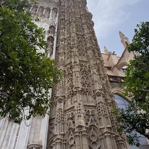Img 0401