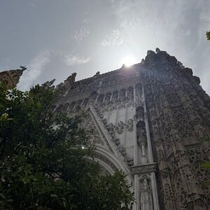 Img 0403