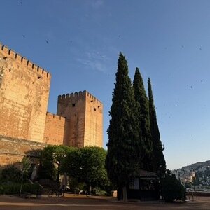 Img 0448
