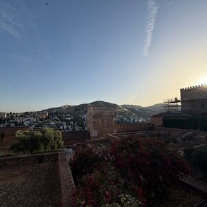 Img 0453