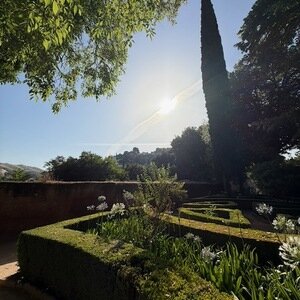 Img 0626