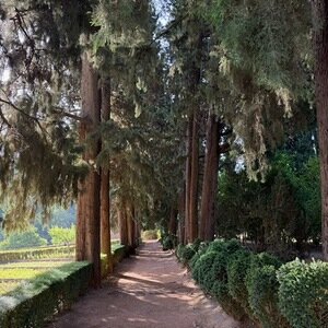 Img 0647