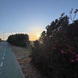 Img 0718