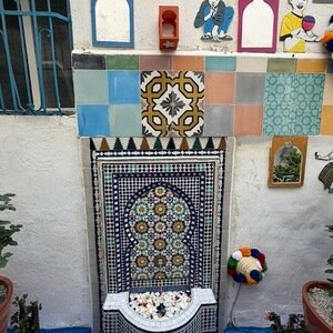 Img 0743