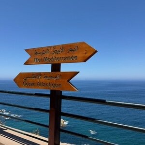 Img 0770