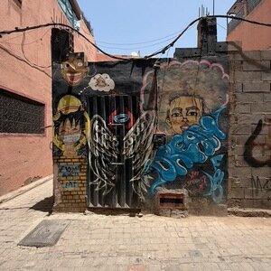 Img 0868